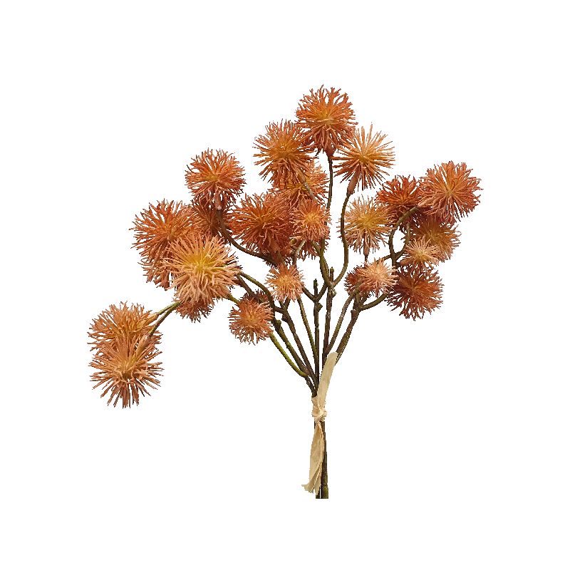 Light Brown Burdock Bouquet - 32cm