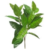 Load image into Gallery viewer, Green Pomelo Leaf Spray - 48cm