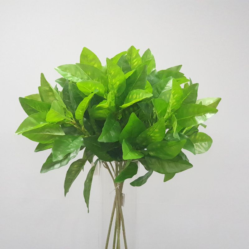 Green Pomelo Leaf Spray - 48cm