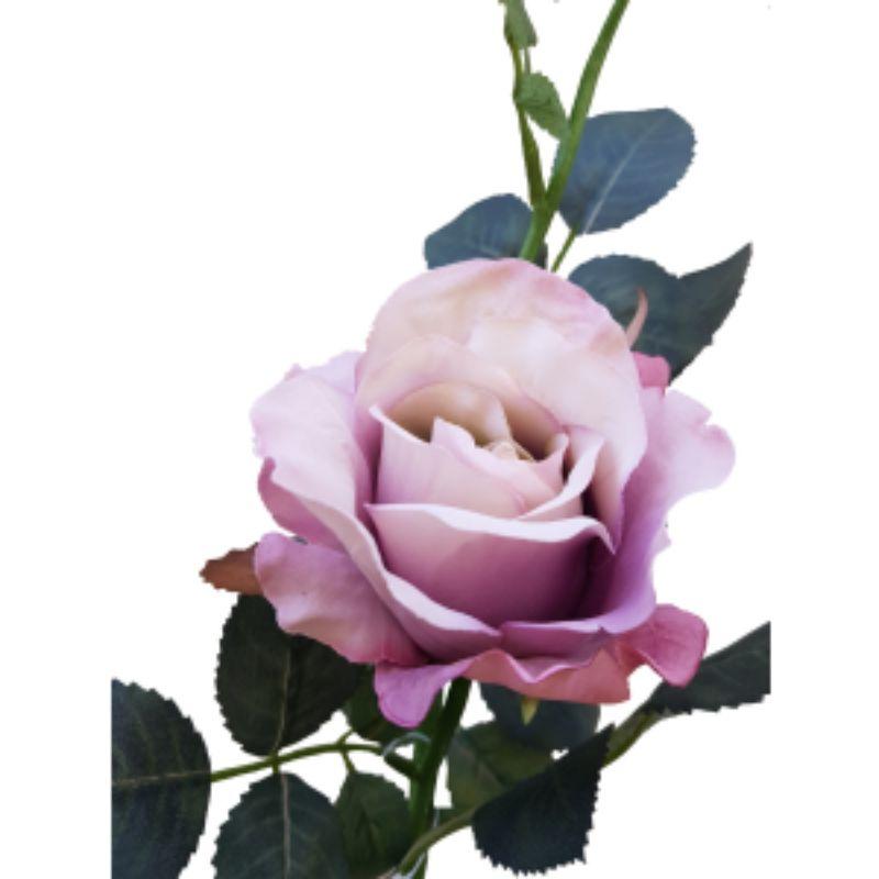 Antique Pink Alice Rose - 36cm