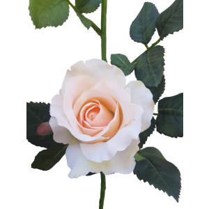 Cream Peach Alice Rose - 36cm