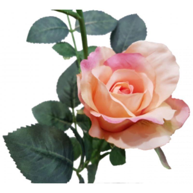 Salmon Alice Rose - 36cm