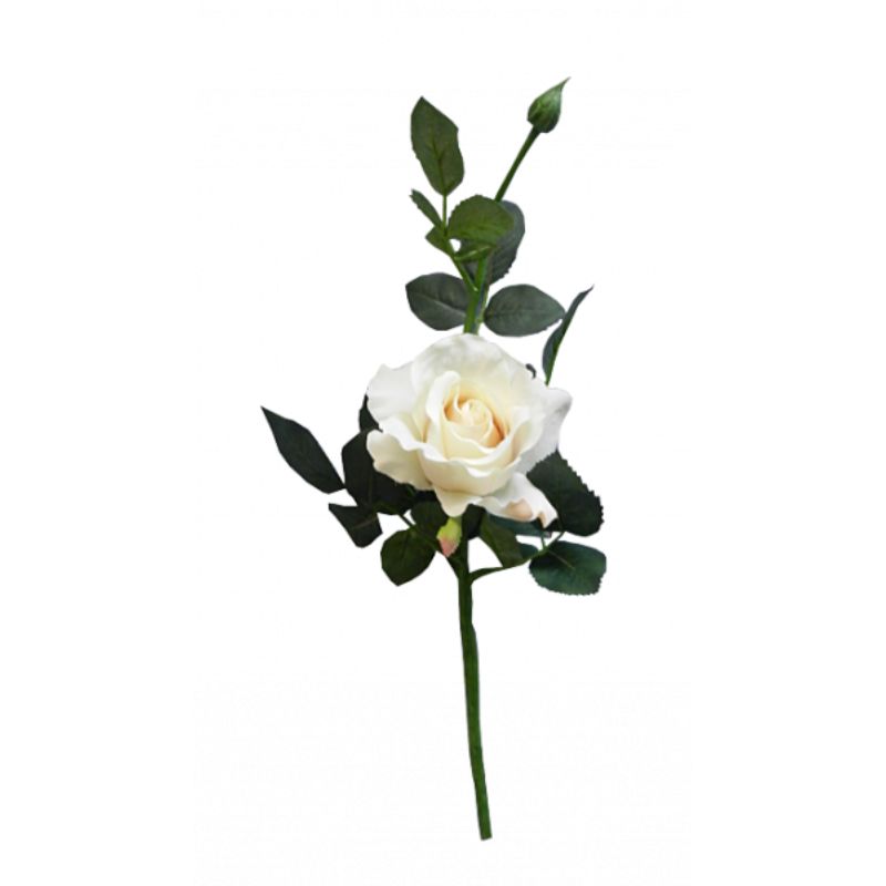 Vanilla Alice Rose - 36cm