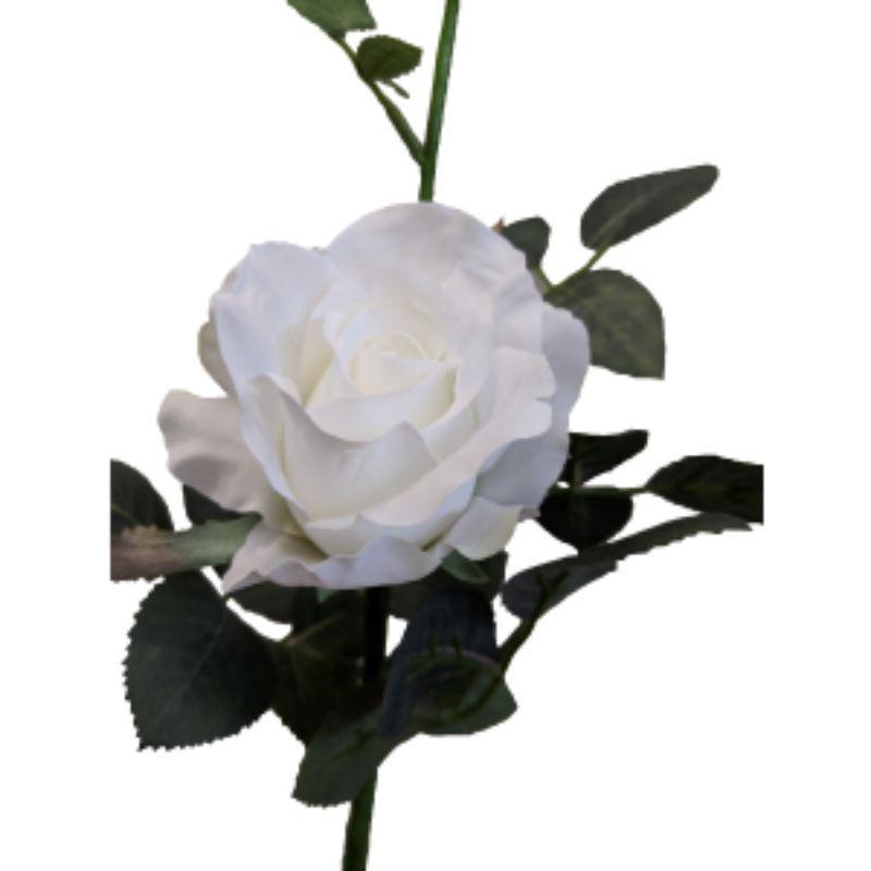White Alice Rose - 36cm
