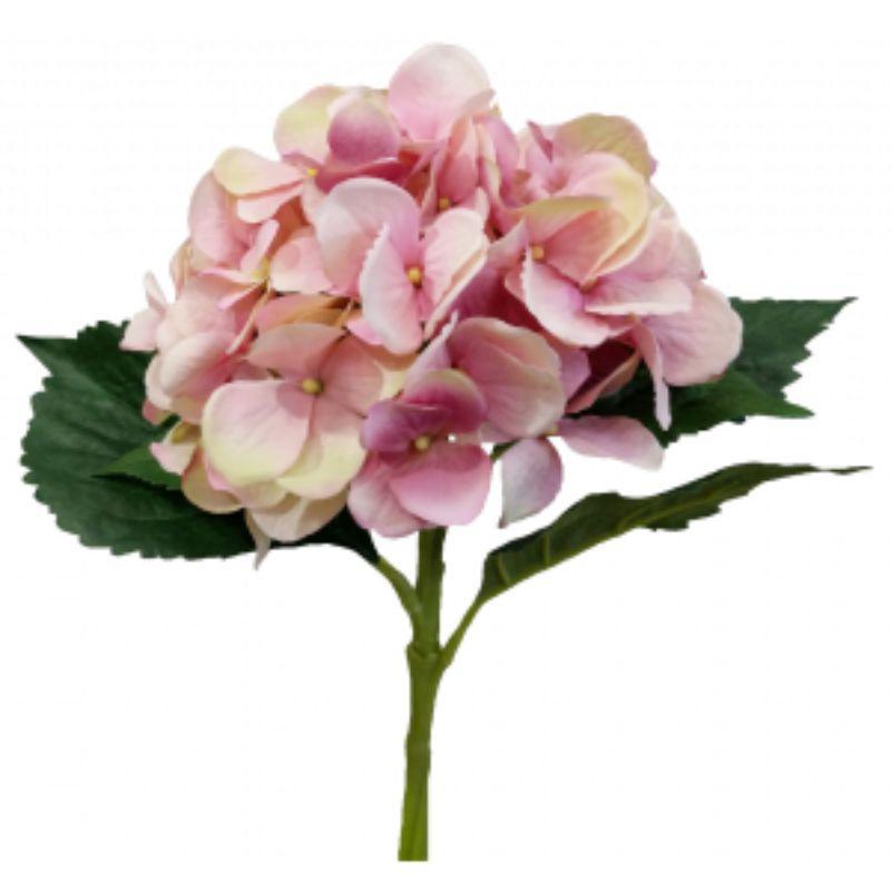 Peach Pink Hydrangea - 49cm