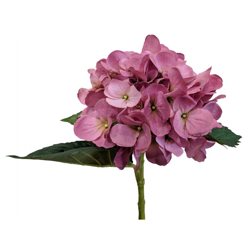 Dark Pink Hydrangea Stem - 49cm