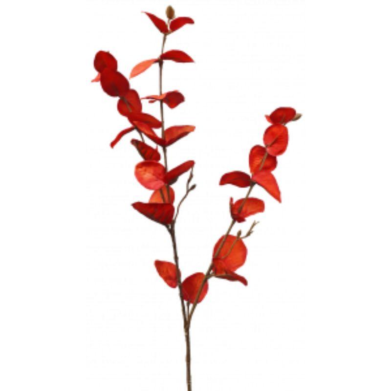 Orange Eucalyptus Spray - 66cm