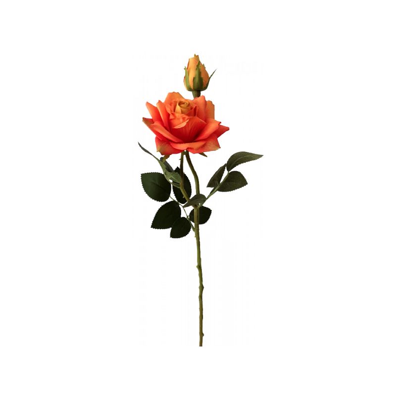 Orange Rose with Rosebud - 46cm x 12cm