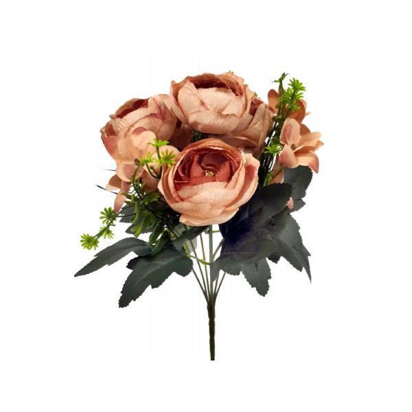 Dusty Dark Peach Camellia Bush - 35cm