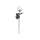 Load image into Gallery viewer, Light Pink Ecuadorian Rose - 67cm x 23cm