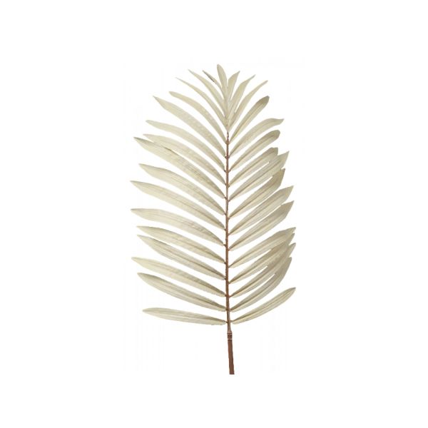 Cream Data Palm - 107cm