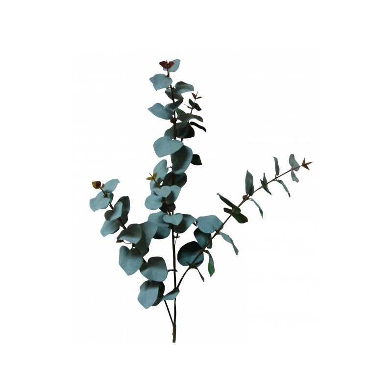 Grey Eucalyptus Spinning Gum Spray - 106cm