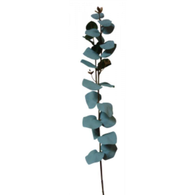 Green Eucalyptus - 81cm