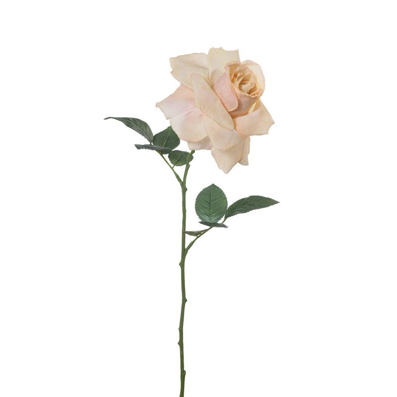 Cream Dried Rose - 72cm x 20cm - one single rose