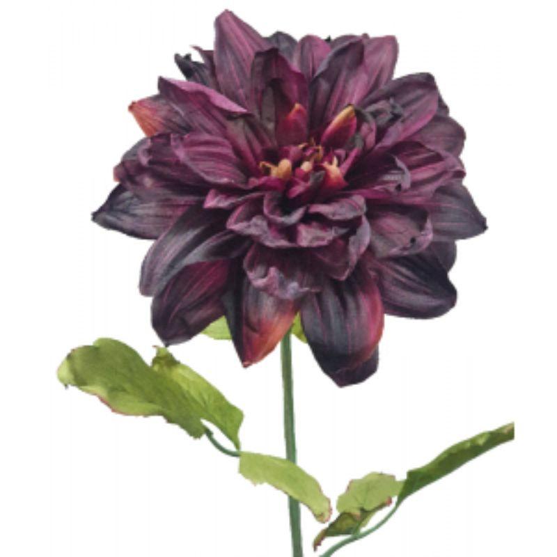Purple Dried Dahlia - 30cm x 69cm