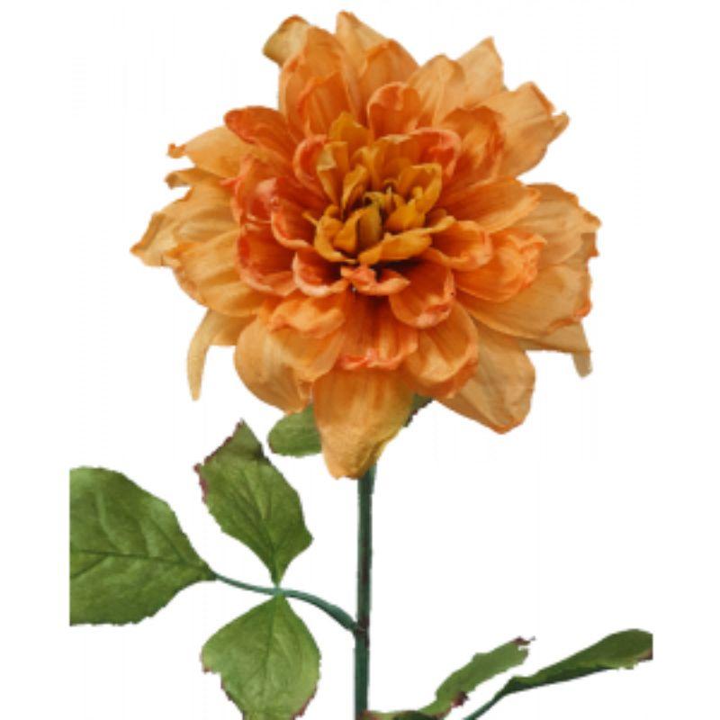 Yellow Dried Dahlia - 30cm x 69cm