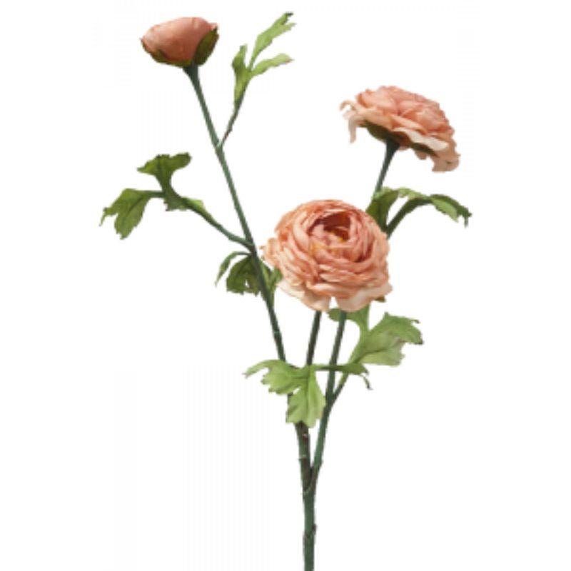 Peach Dried Ranunculus 2 - 27cm x 72cm