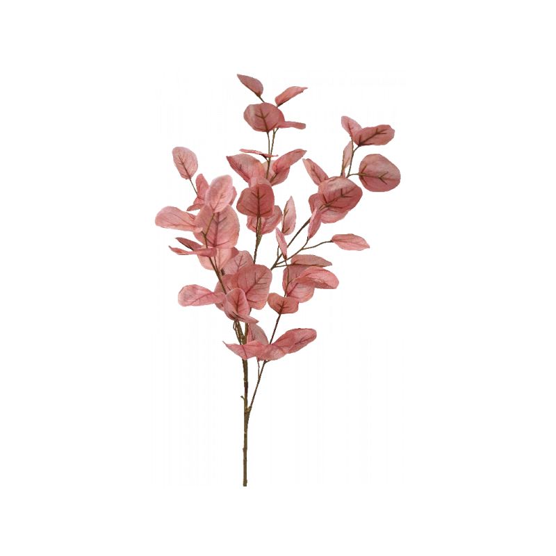 Dusty Green Dried Silver Dollar Eucalyptus Spray - 91cm