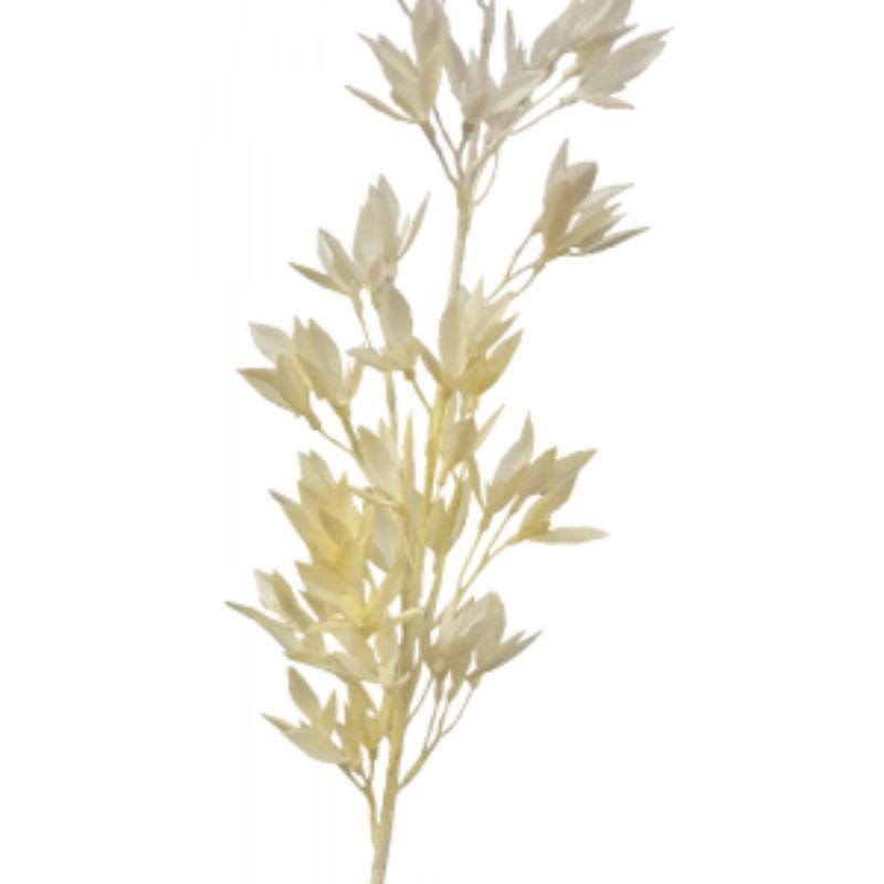Magnolia Leaf Spray - 73cm