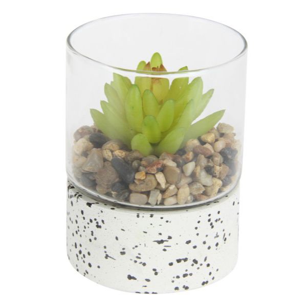 Pebblecrete Glass Vase with Succulent - 11cm