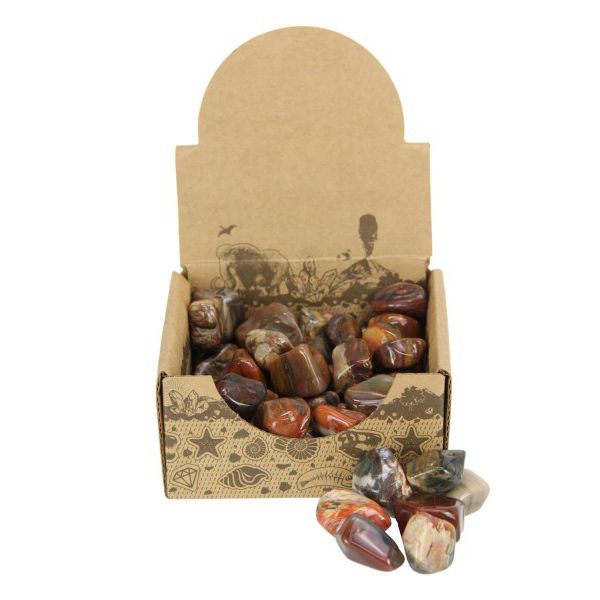 Wooden Fossil Tumble Stone - 2-3cm