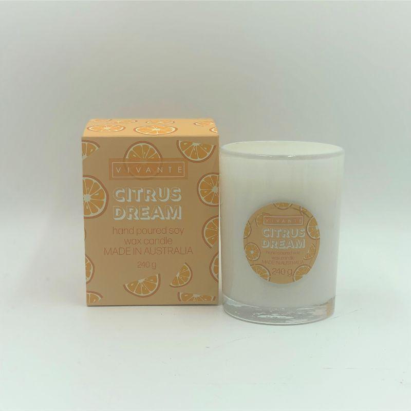 Vivante Summer Fruits Soy Blend Candle - Citrus Dream - 240g