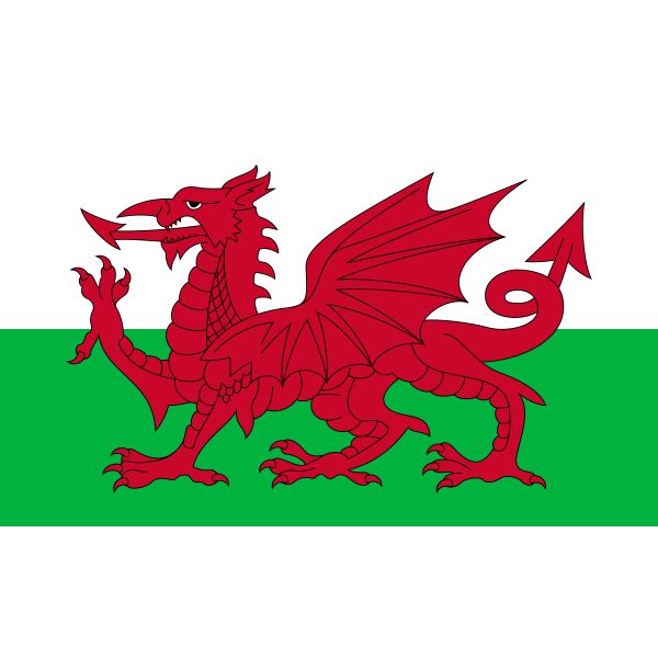Wales Flag - 90cm x 150cm