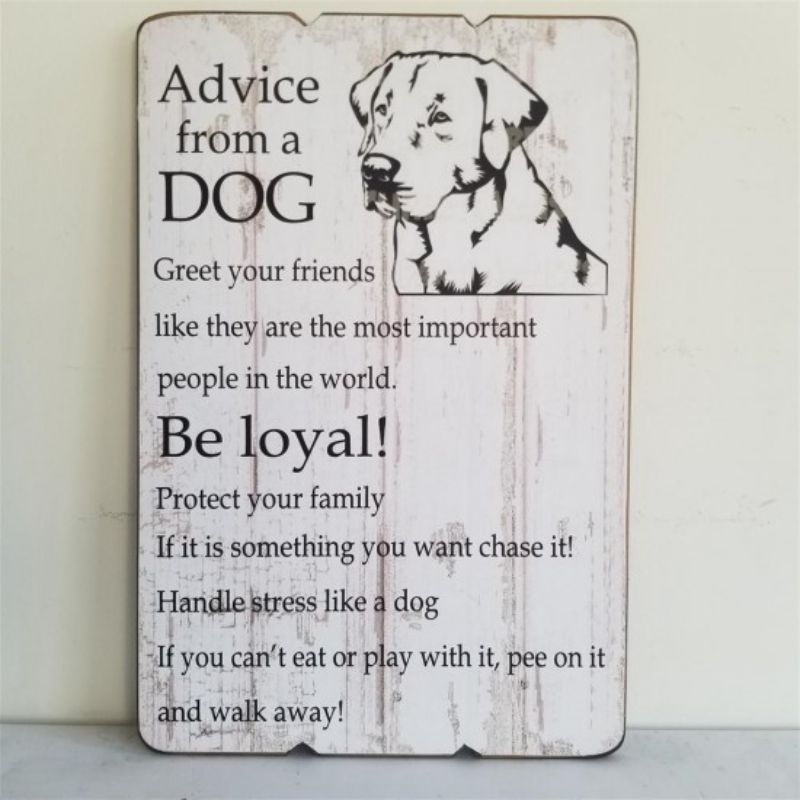 Advise From a Dog Plank Style Plaque - 45cm