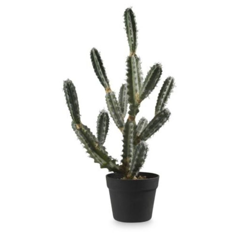 Green Santa Fe Cactus In Plastic Pot - 33cm x 28cm x 63cm