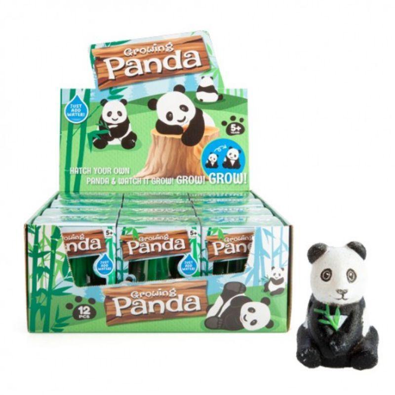 Grow Panda - 10cm - The Base Warehouse