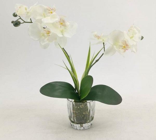 Real Touch Orchid - The Base Warehouse