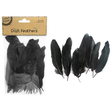 50 Pack Black Feathers - 14cm - The Base Warehouse