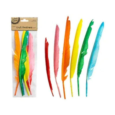 6 Pack Mixed Colour Feathers - 28cm - The Base Warehouse