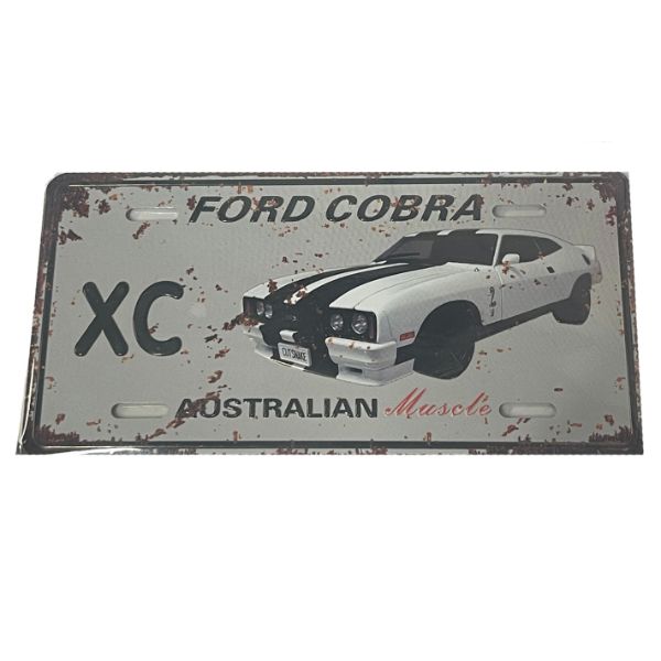 Metal Plate Fridge magnet - 12cm x 6cm