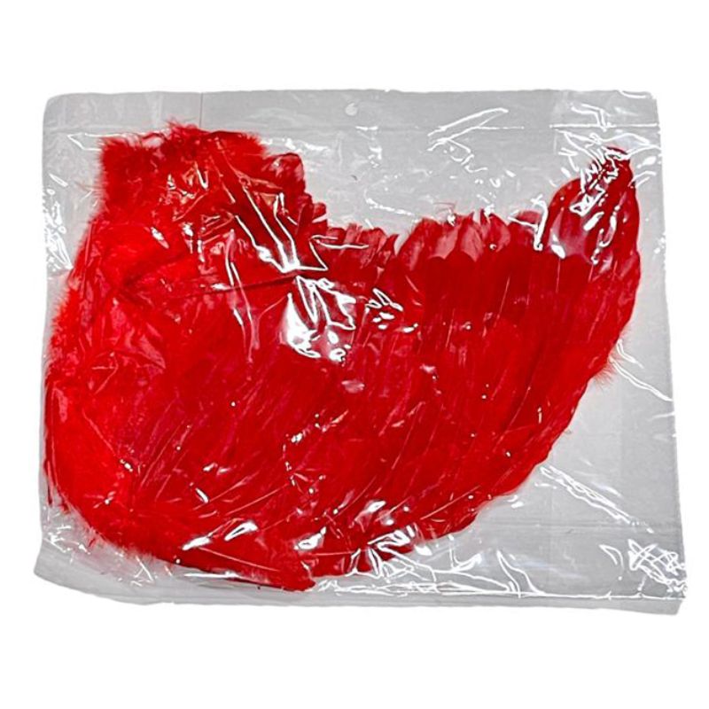 Large Red Feather Wings