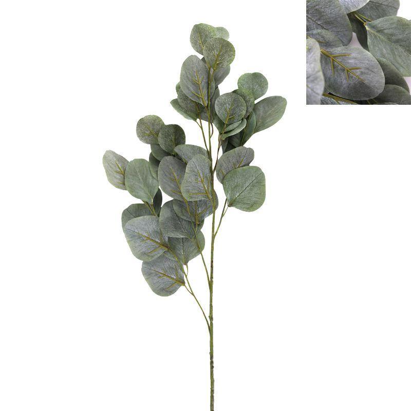 Griselinia Lucida Stem - 90cm - The Base Warehouse