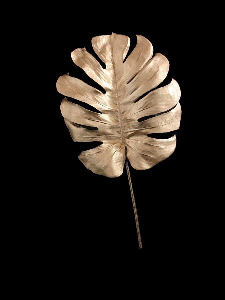 Large Monstera Deliciosa - 85cm - The Base Warehouse