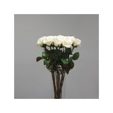 Load image into Gallery viewer, White Ecuador Rose - 67cm