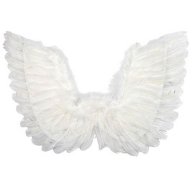 Costume Wings