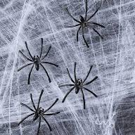 Halloween Spiders & Webs
