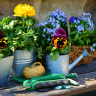 Gardening