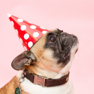 Party Hats