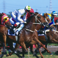 Melbourne Cup