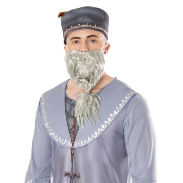 Harry Potter Adult Dumbledore Costume - STD