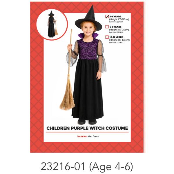 Toddler Purple Witch Costume - 4-6