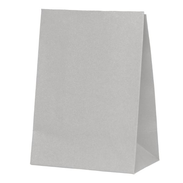10 Pack Cool Grey Paper Bag - 18cm x 13cm x 8cm