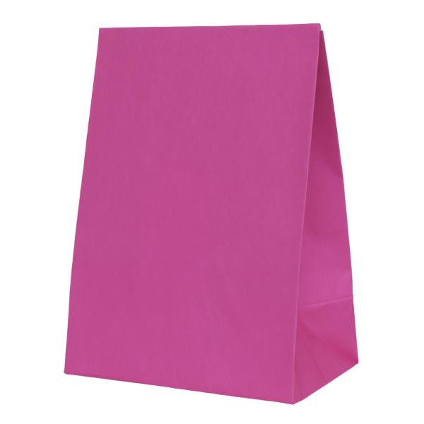 10 Pack Flamingo Pink Paper Bag - 18cm x 13cm x 8cm