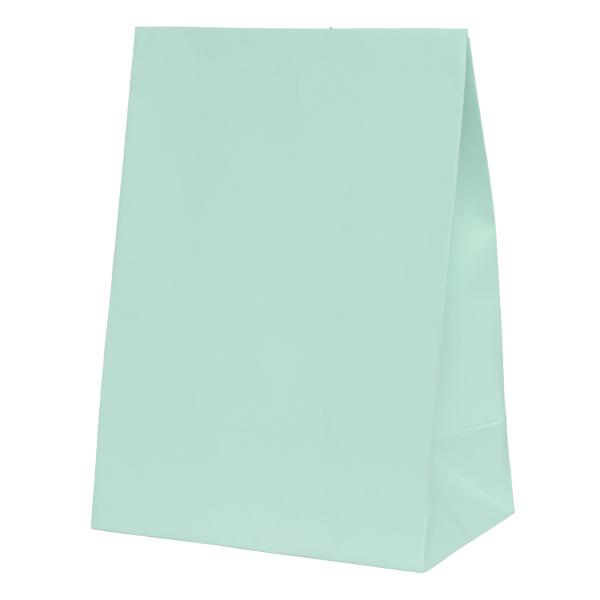 10 Pack Mint Green Paper Bag - 18cm x 13cm x 8cm