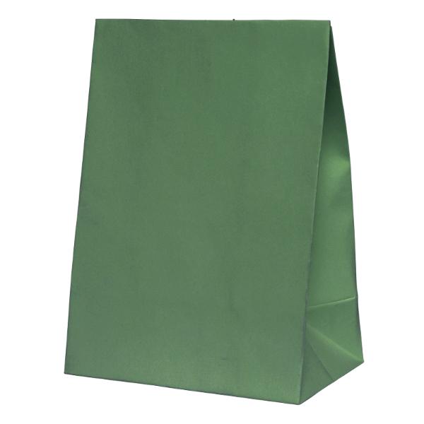 10 Pack Sage Green Paper Bag - 18cm x 13cm x 8cm