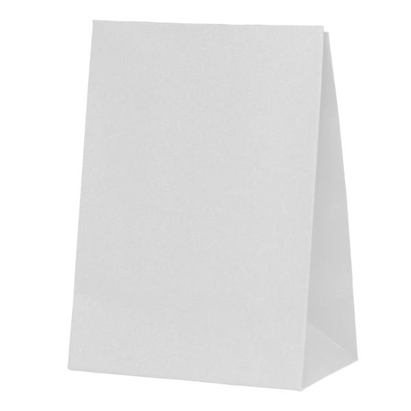 10 Pack White Paper Bag - 18cm x 13cm x 8cm